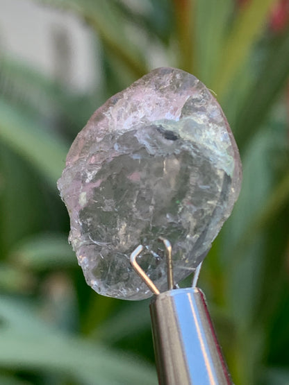 Tourmaline elbaïte de 20mm x 16 x 5 - 2,2 grammes/ 11 carats. Superbe pièce naturelle !