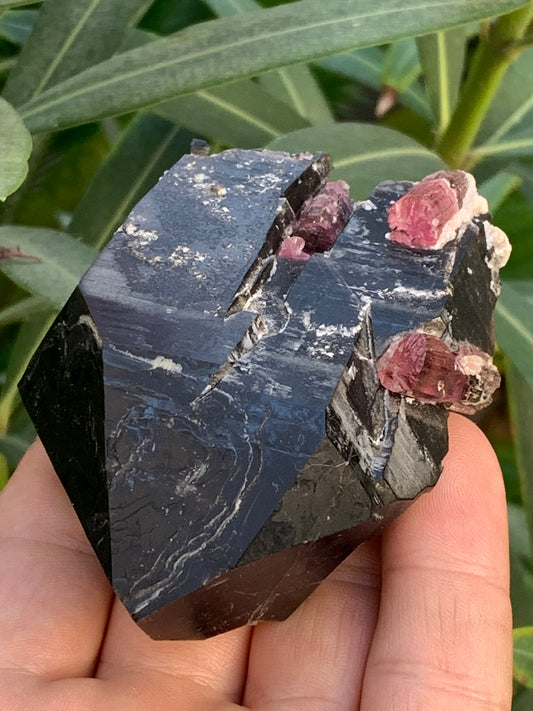 Cristal de roche fumé/ Quartz Morion / Quartz Fumé avec Tourmaline Rubellite, incroyable spécimen naturel de 90 x 70 x 48mm - 216 grammes. Superbe pièce !