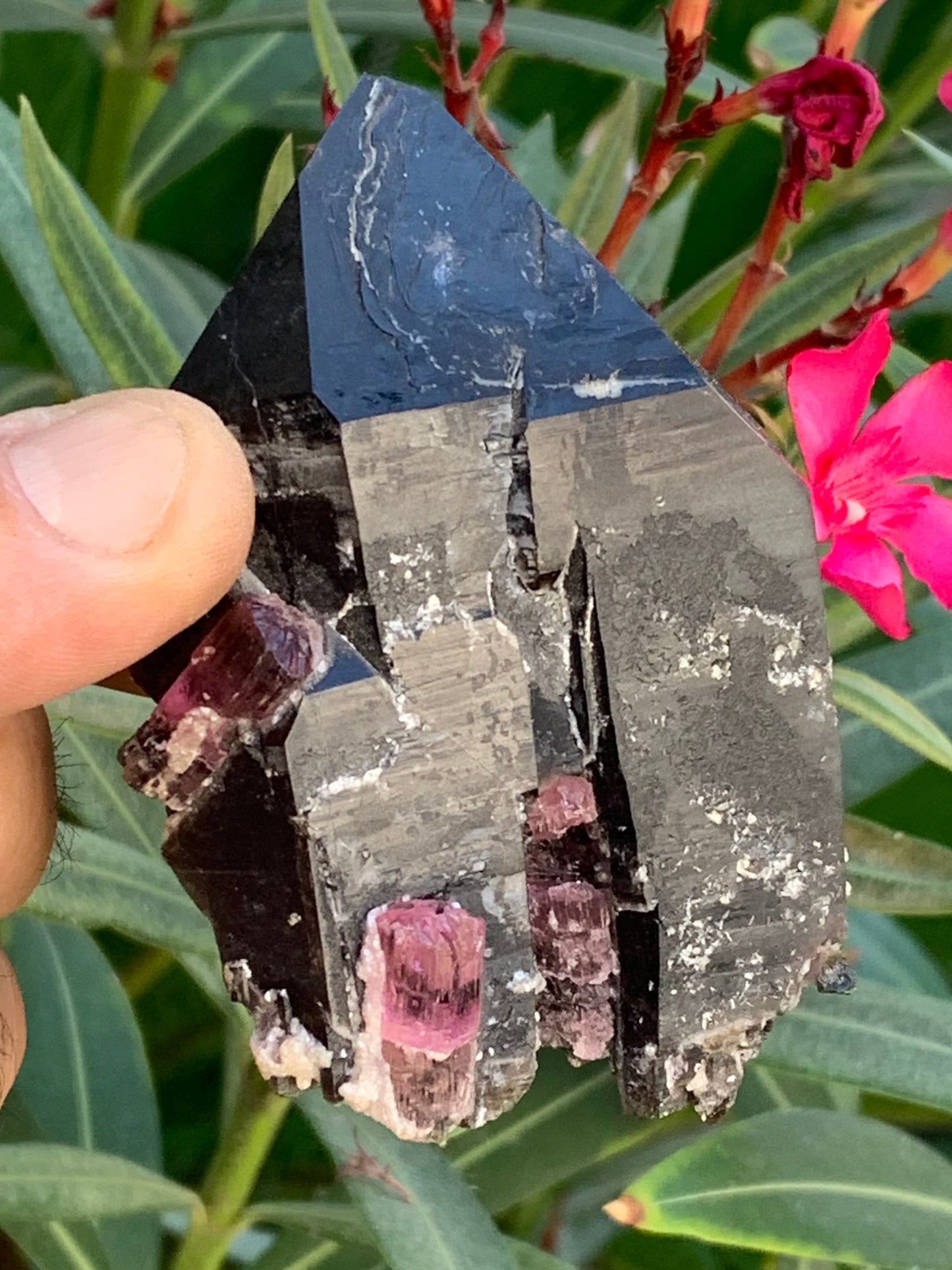 Cristal de roche fumé/ Quartz Morion / Quartz Fumé avec Tourmaline Rubellite, incroyable spécimen naturel de 90 x 70 x 48mm - 216 grammes. Superbe pièce !