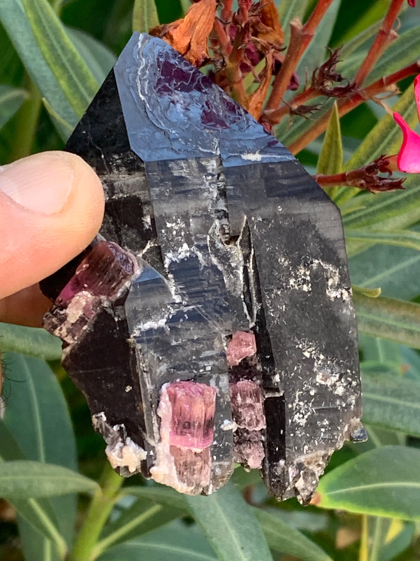 Cristal de roche fumé/ Quartz Morion / Quartz Fumé avec Tourmaline Rubellite, incroyable spécimen naturel de 90 x 70 x 48mm - 216 grammes. Superbe pièce !