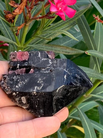 Cristal de roche fumé/ Quartz Morion / Quartz Fumé avec Tourmaline Rubellite, incroyable spécimen naturel de 90 x 70 x 48mm - 216 grammes. Superbe pièce !