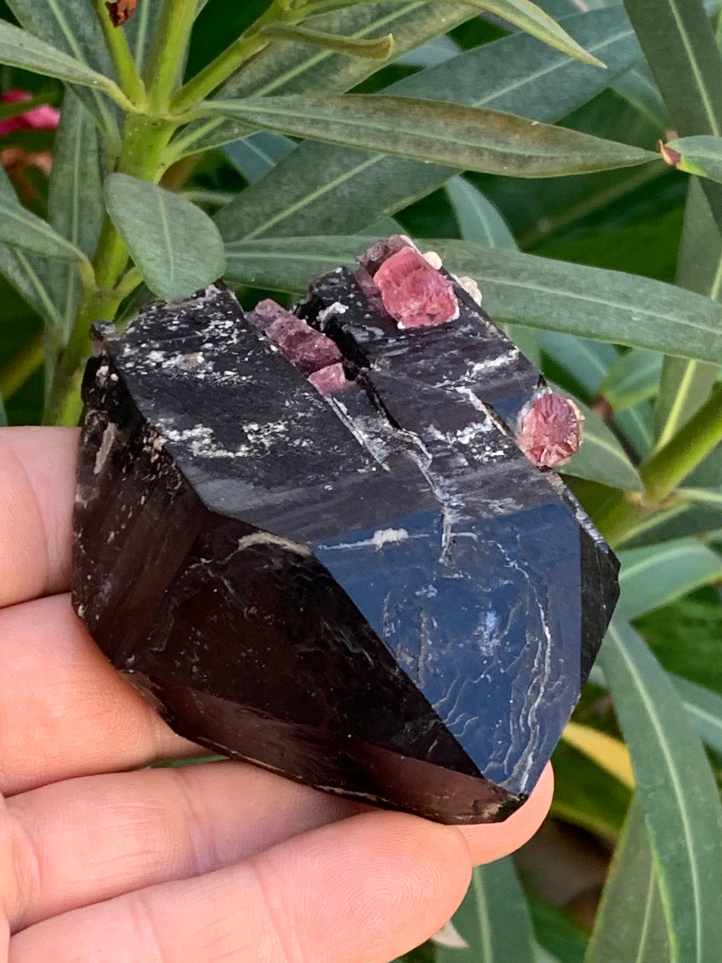 Cristal de roche fumé/ Quartz Morion / Quartz Fumé avec Tourmaline Rubellite, incroyable spécimen naturel de 90 x 70 x 48mm - 216 grammes. Superbe pièce !
