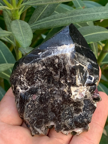 Cristal de roche fumé/ Quartz Morion / Quartz Fumé avec Tourmaline Rubellite, incroyable spécimen naturel de 90 x 70 x 48mm - 216 grammes. Superbe pièce !