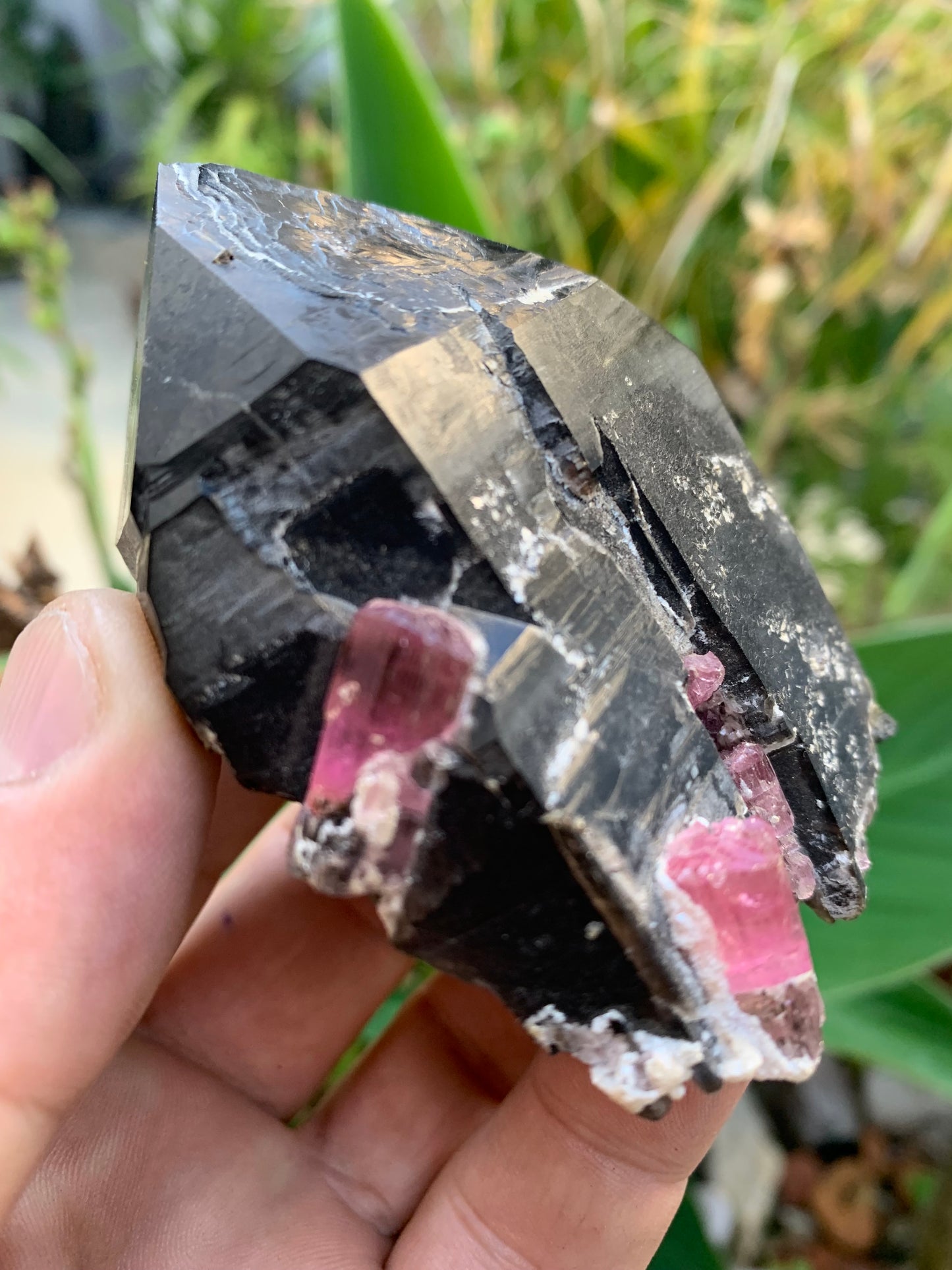 Cristal de roche fumé/ Quartz Morion / Quartz Fumé avec Tourmaline Rubellite, incroyable spécimen naturel de 90 x 70 x 48mm - 216 grammes. Superbe pièce !