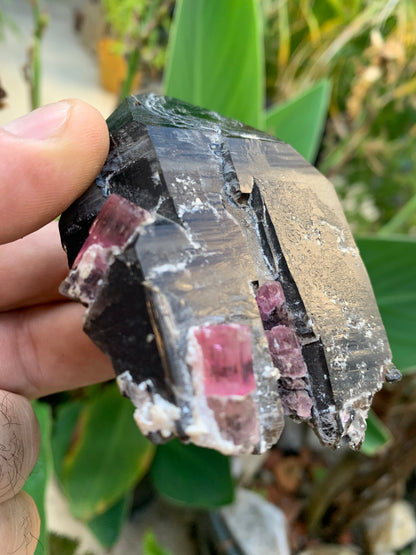 Cristal de roche fumé/ Quartz Morion / Quartz Fumé avec Tourmaline Rubellite, incroyable spécimen naturel de 90 x 70 x 48mm - 216 grammes. Superbe pièce !