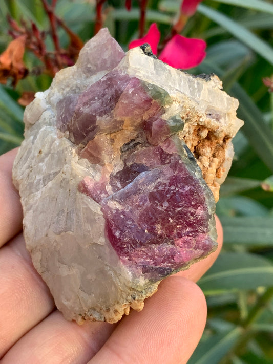 Tourmaline Rubellite, 58 x 50 x 43mm - 136,2 grammes. Une très belle petite pièce !