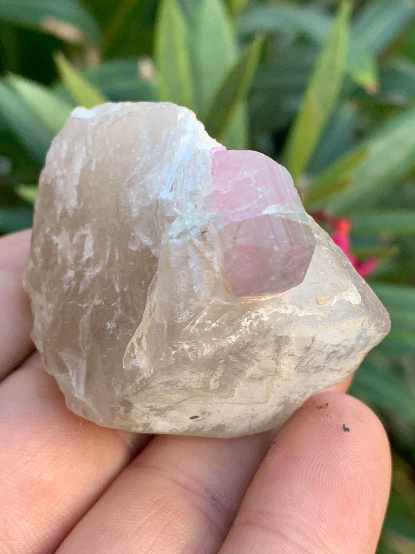 Tourmaline Rubellite sur quartz, 58 x 43 x 40mm - 87,3 grammes. Une très belle petite pièce !