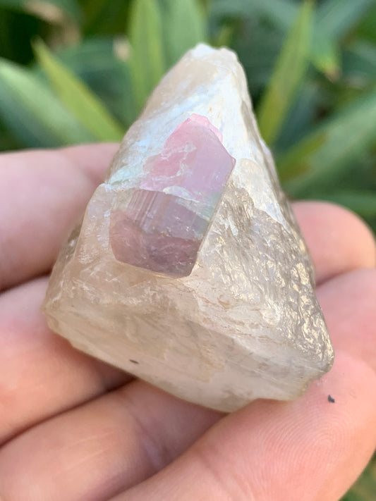 Tourmaline Rubellite sur quartz, 58 x 43 x 40mm - 87,3 grammes. Une très belle petite pièce !