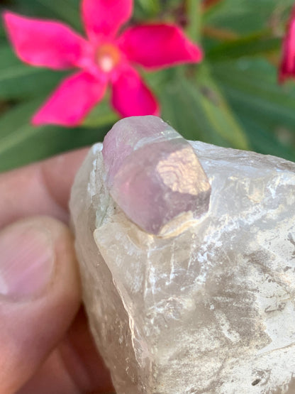 Tourmaline Rubellite sur quartz, 58 x 43 x 40mm - 87,3 grammes. Une très belle petite pièce !