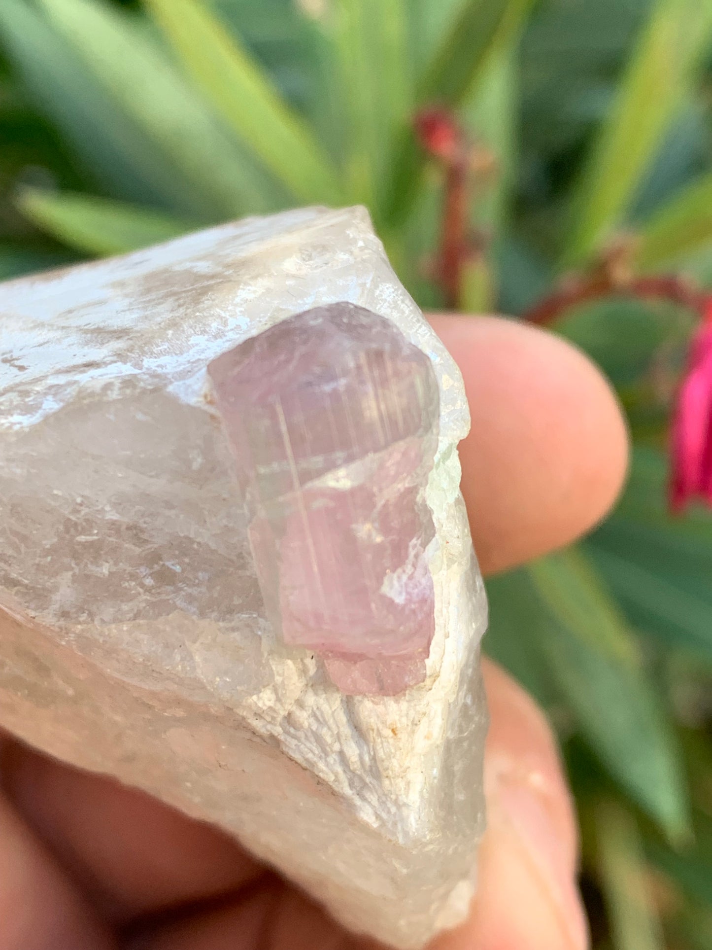 Tourmaline Rubellite sur quartz, 58 x 43 x 40mm - 87,3 grammes. Une très belle petite pièce !