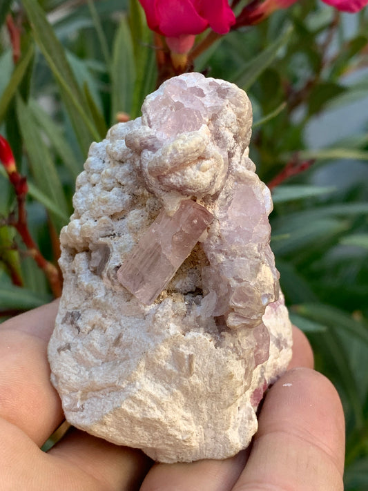 Tourmaline Rubellite, 71 x 59 x 48mm - 207,2 grammes. Une très belle petite pièce remplis de cristaux !