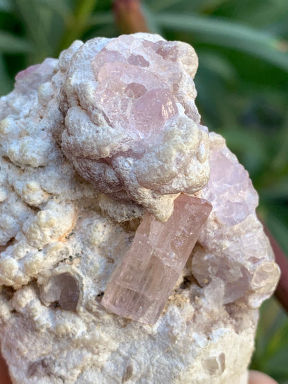 Tourmaline Rubellite, 71 x 59 x 48mm - 207,2 grammes. Une très belle petite pièce remplis de cristaux !