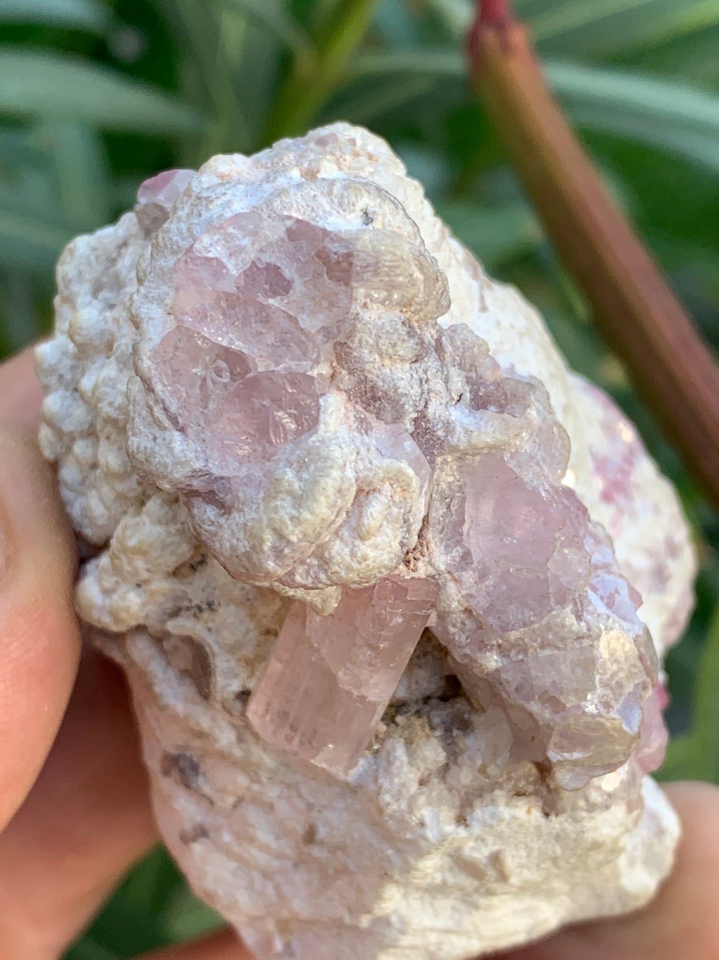 Tourmaline Rubellite, 71 x 59 x 48mm - 207,2 grammes. Une très belle petite pièce remplis de cristaux !