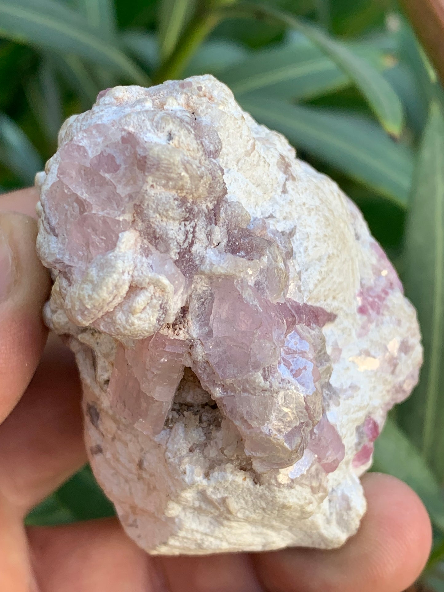 Tourmaline Rubellite, 71 x 59 x 48mm - 207,2 grammes. Une très belle petite pièce remplis de cristaux !