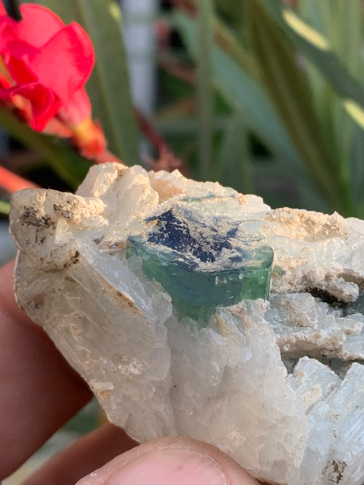 Tourmaline bleue/ Indicolite et Aigue-Marine , spécimen naturel de 52 x 32 x 30 mm - 47,9 grammes !