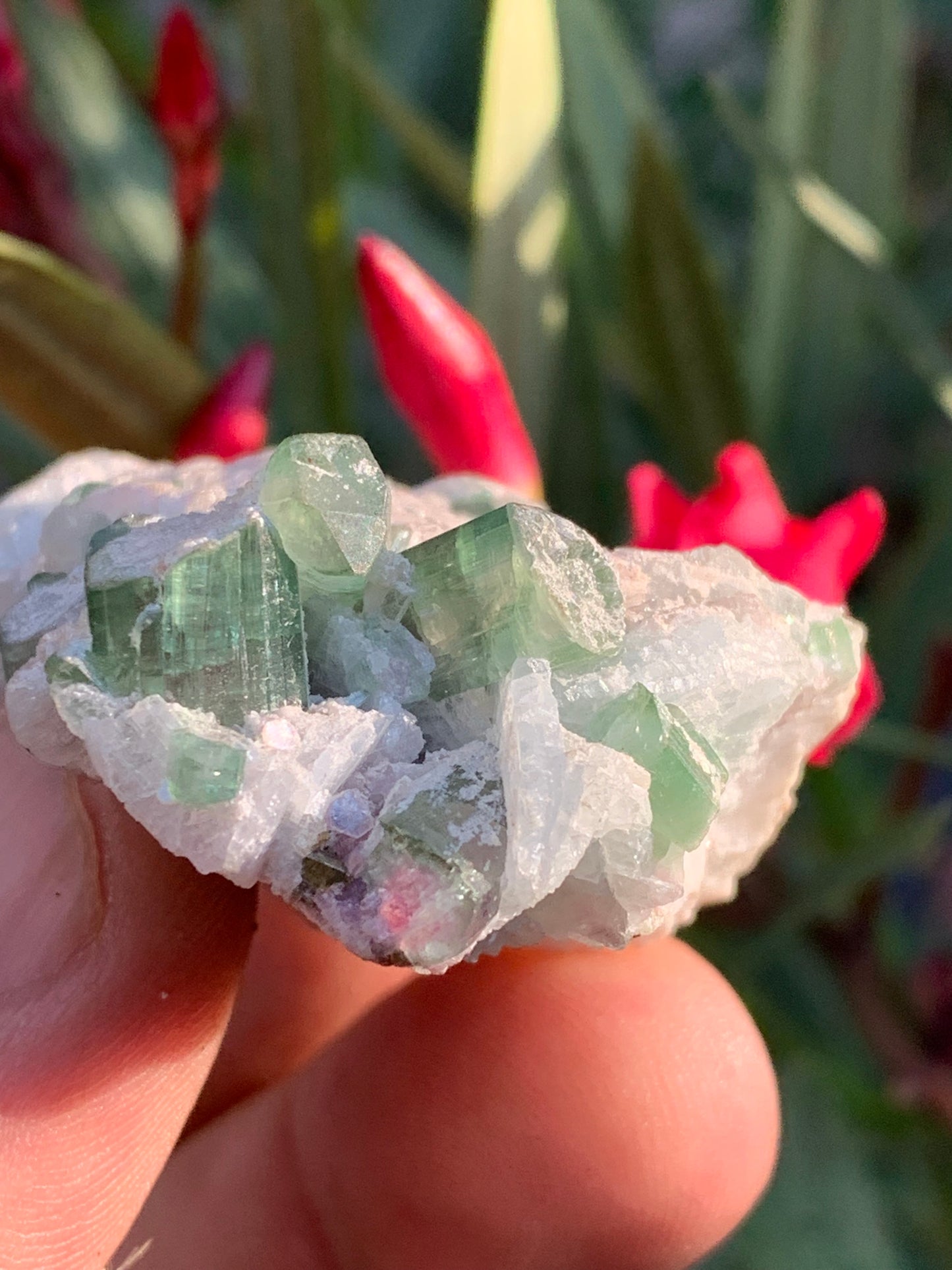 Tourmaline verte/ Verdélite et melon d'eau , spécimen naturel de 58 x 40 x 25 mm - 49,7 grammes !