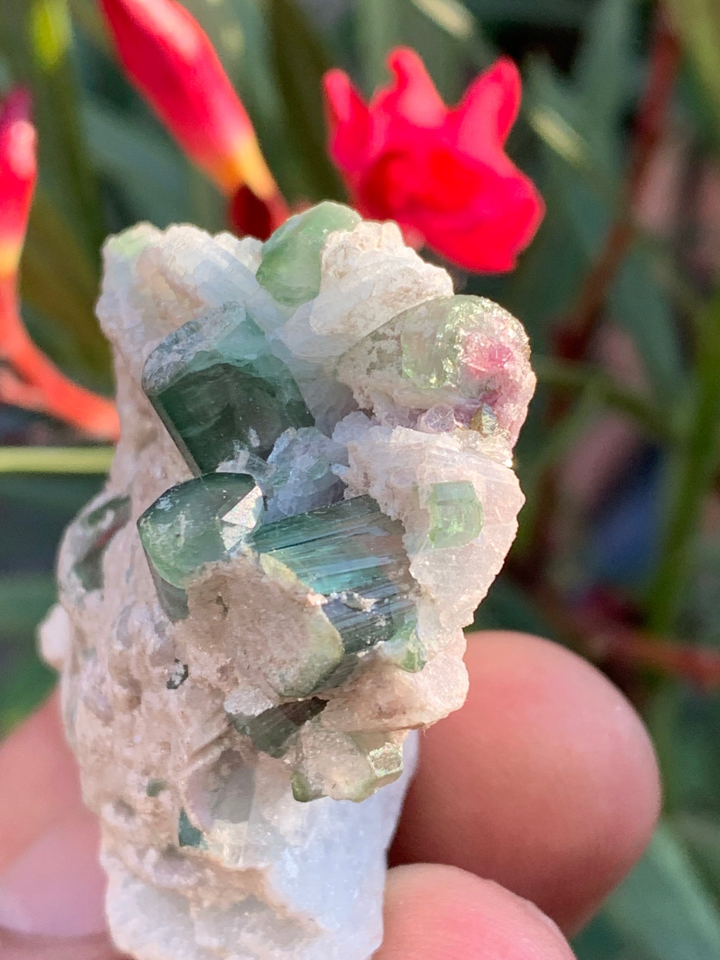 Tourmaline verte/ Verdélite et melon d'eau , spécimen naturel de 58 x 40 x 25 mm - 49,7 grammes !