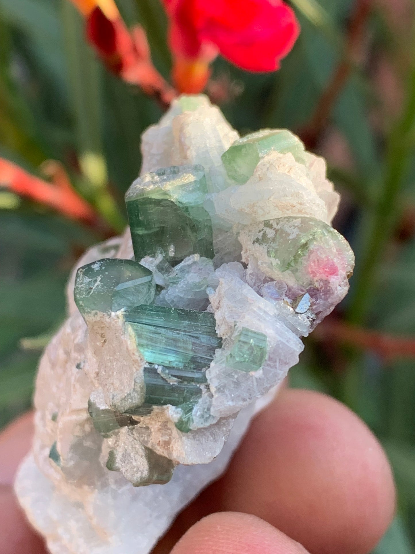 Tourmaline verte/ Verdélite et melon d'eau , spécimen naturel de 58 x 40 x 25 mm - 49,7 grammes !