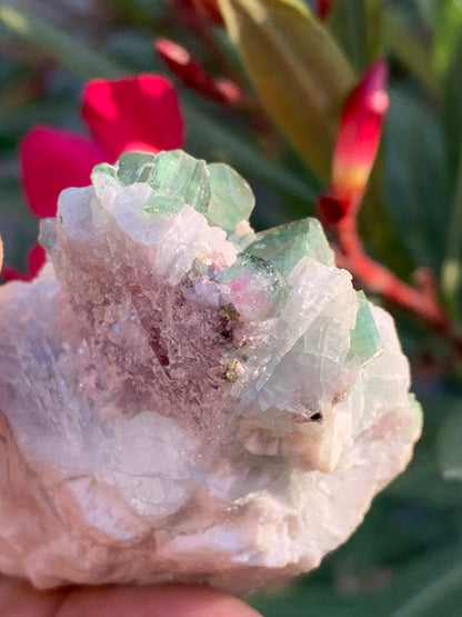 Tourmaline verte/ Verdélite et melon d'eau , spécimen naturel de 58 x 40 x 25 mm - 49,7 grammes !