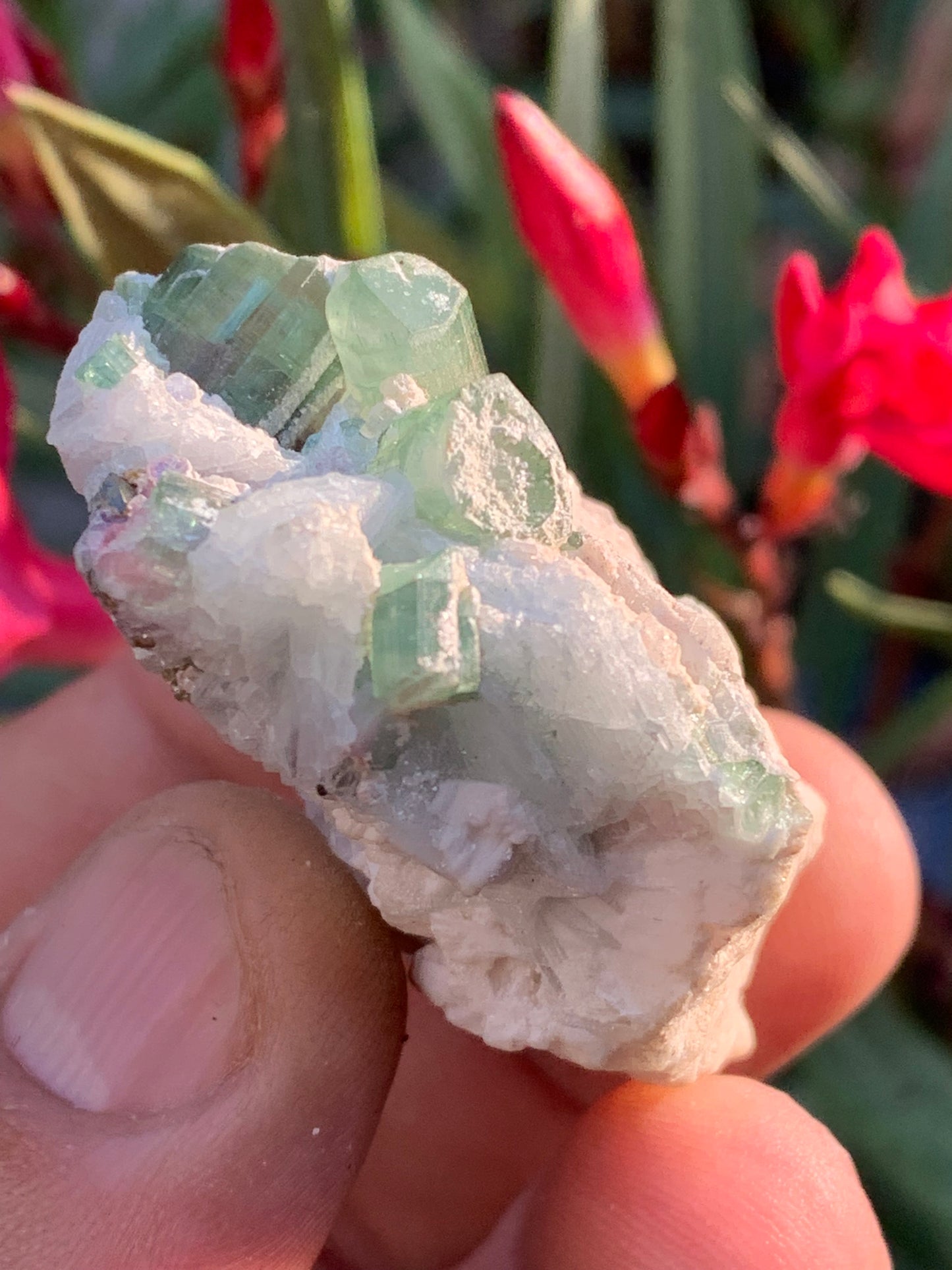 Tourmaline verte/ Verdélite et melon d'eau , spécimen naturel de 58 x 40 x 25 mm - 49,7 grammes !