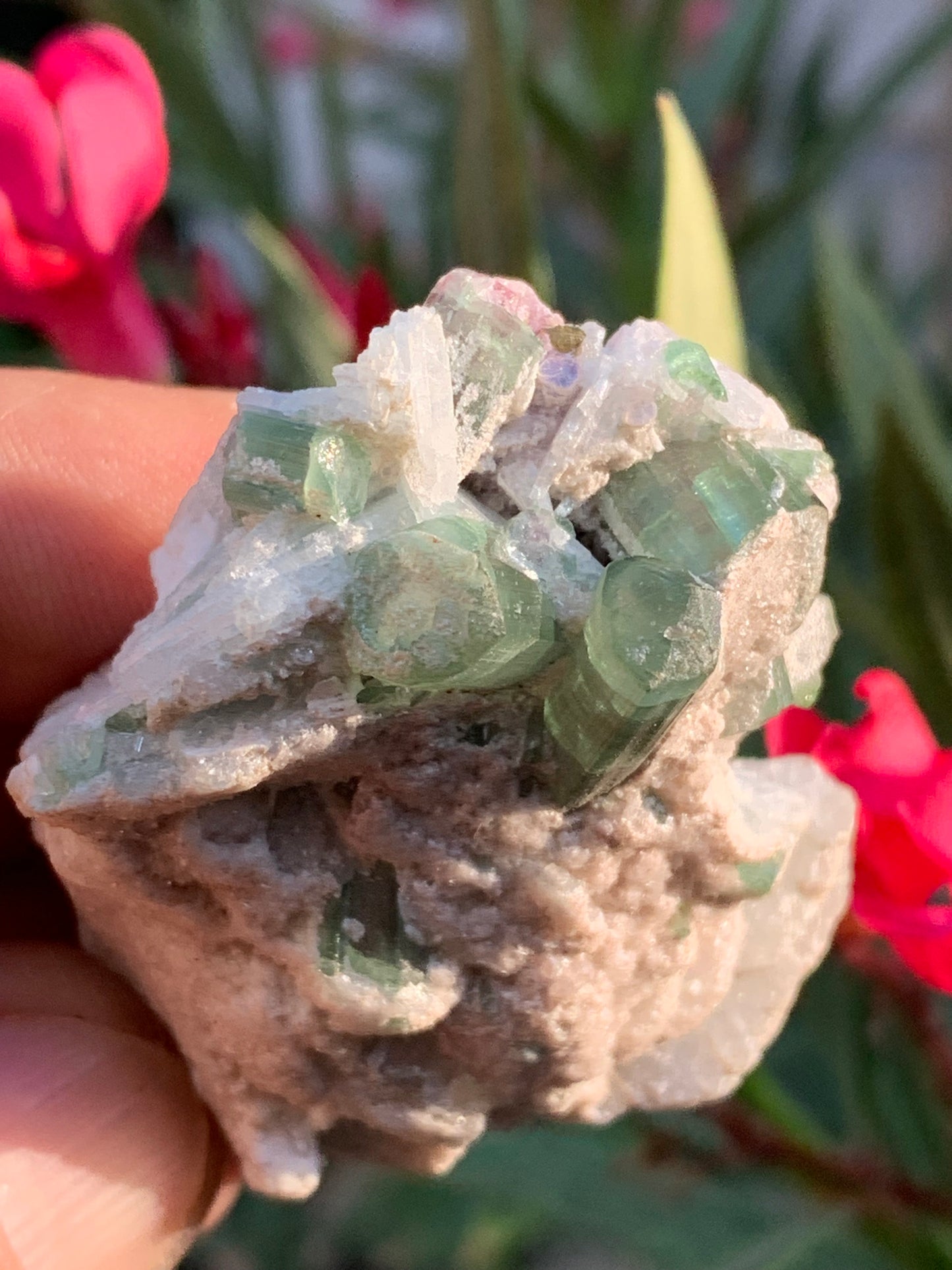 Tourmaline verte/ Verdélite et melon d'eau , spécimen naturel de 58 x 40 x 25 mm - 49,7 grammes !