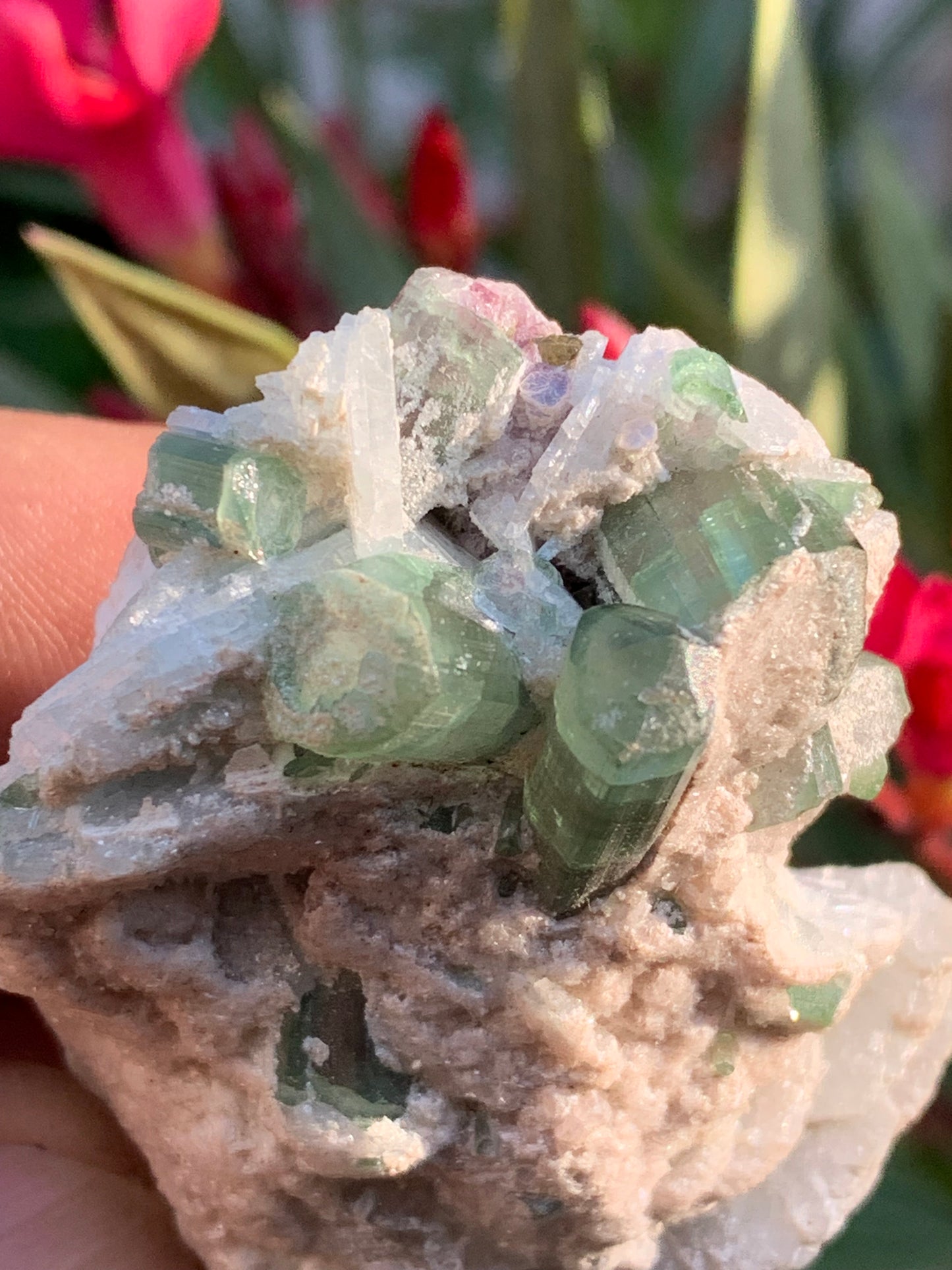 Tourmaline verte/ Verdélite et melon d'eau , spécimen naturel de 58 x 40 x 25 mm - 49,7 grammes !