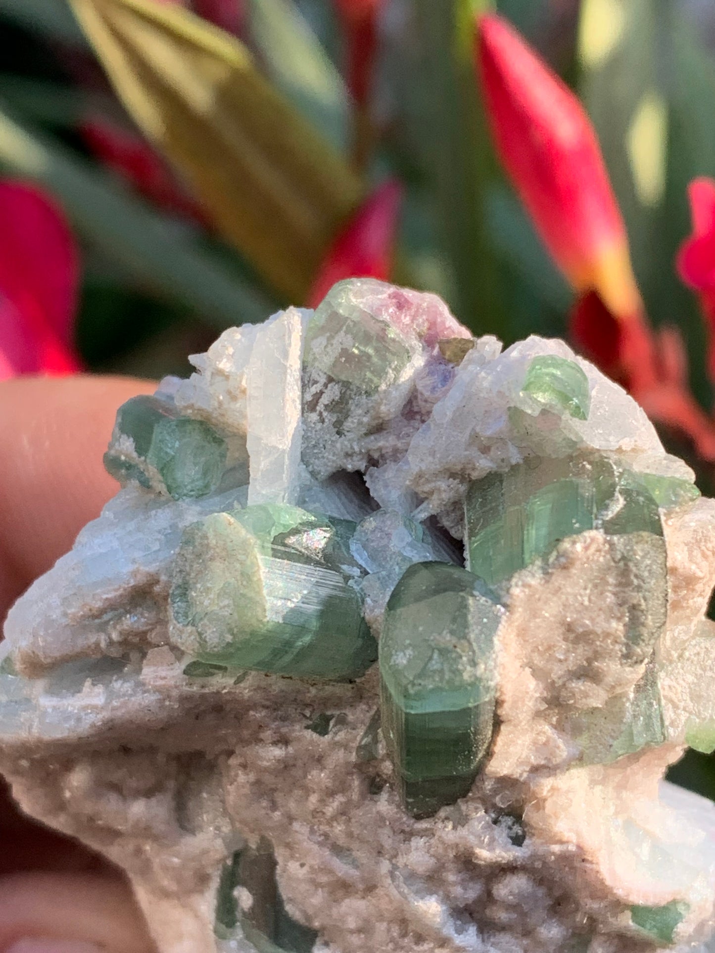 Tourmaline verte/ Verdélite et melon d'eau , spécimen naturel de 58 x 40 x 25 mm - 49,7 grammes !