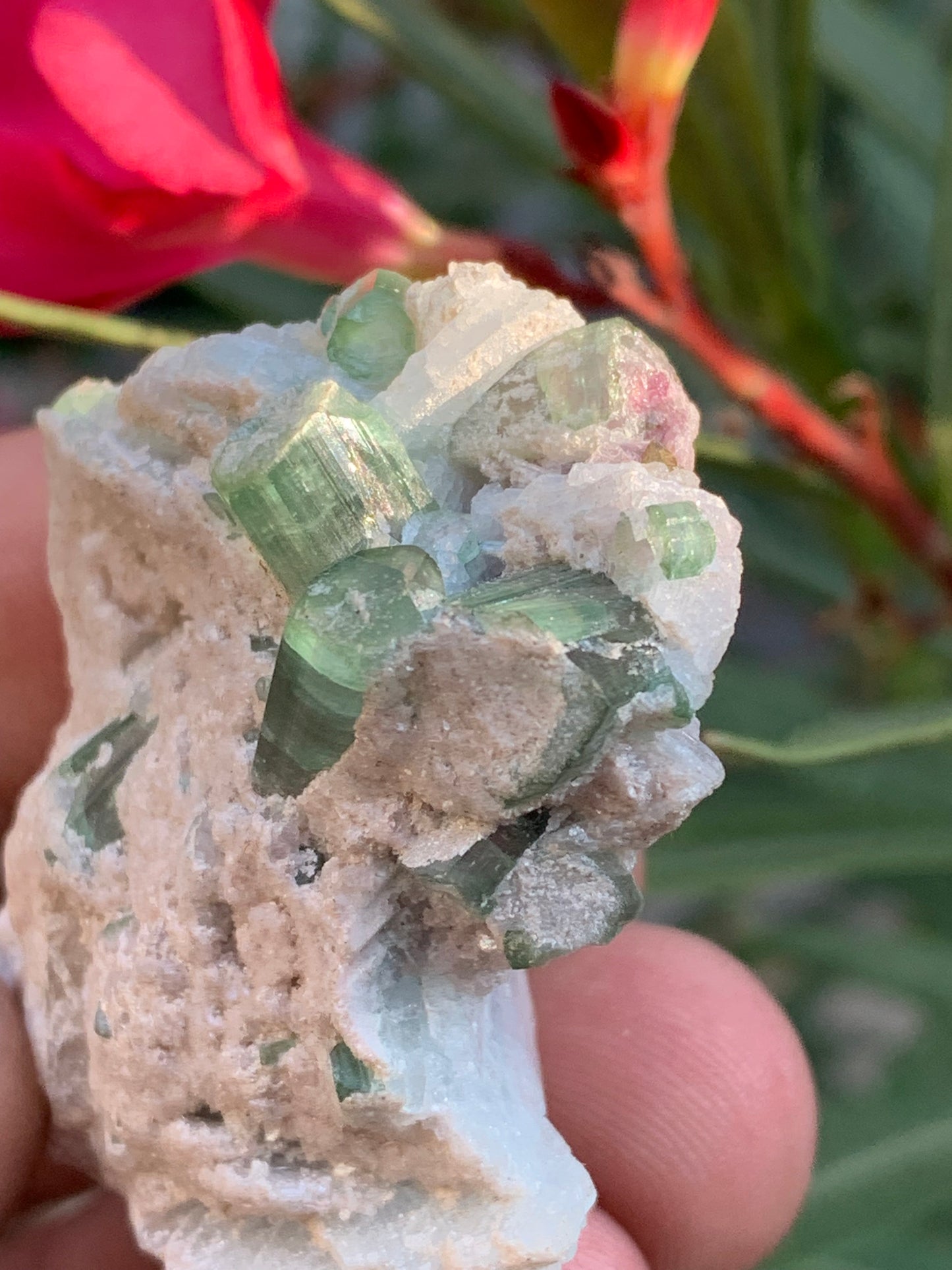 Tourmaline verte/ Verdélite et melon d'eau , spécimen naturel de 58 x 40 x 25 mm - 49,7 grammes !