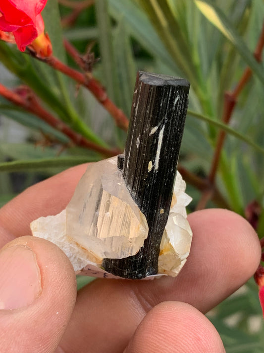 Green Tourmaline/Verdelite on Quartz Crystal, Natural Specimen 46 x 35 x 33 mm - Approximately 27.7 grams. 1 beautiful crystal with a green-terminated tourmaline point running through it! 