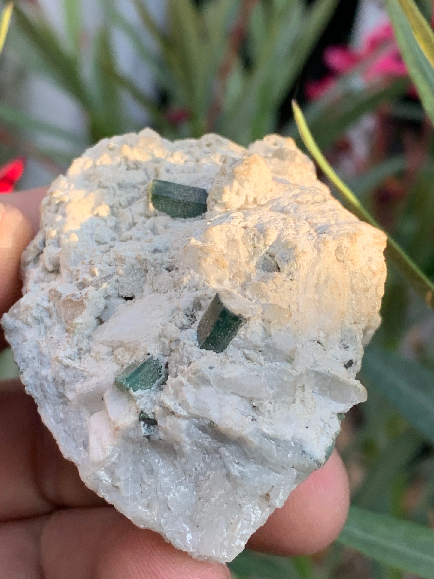 Tourmaline verte/ Verdélite, spécimen naturel de 65 x 45 x 39 mm - 110,7 grammes !