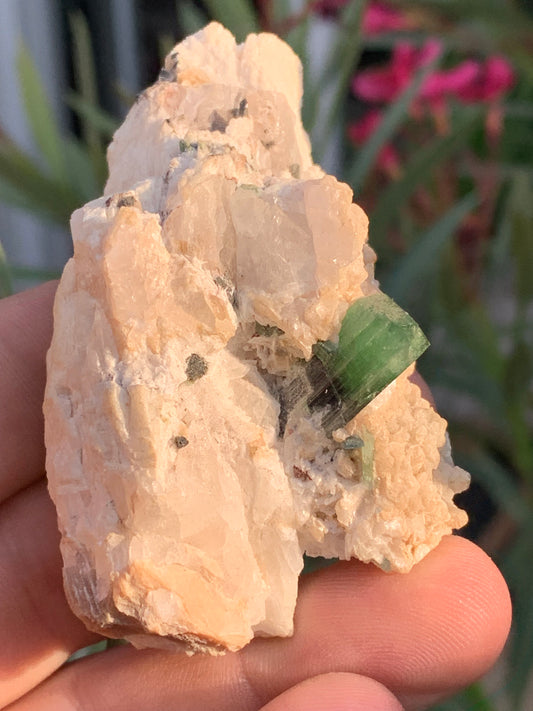 Green Tourmaline/Verdelite, natural specimen 74 x 44 x 30 mm - 84.7 grams! 