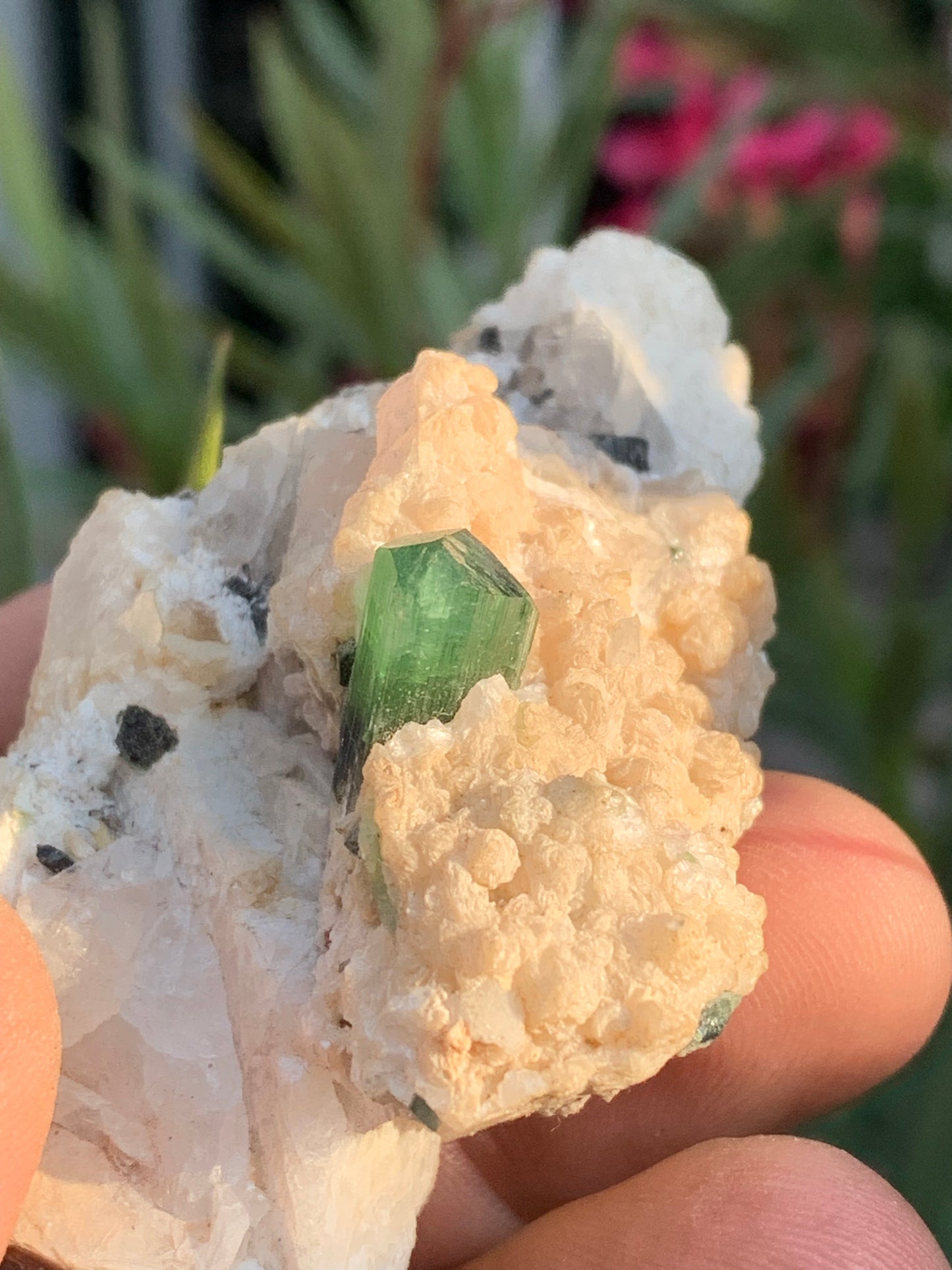 Tourmaline verte/ Verdélite, spécimen naturel de 74 x 44 x 30 mm - 84,7 grammes !