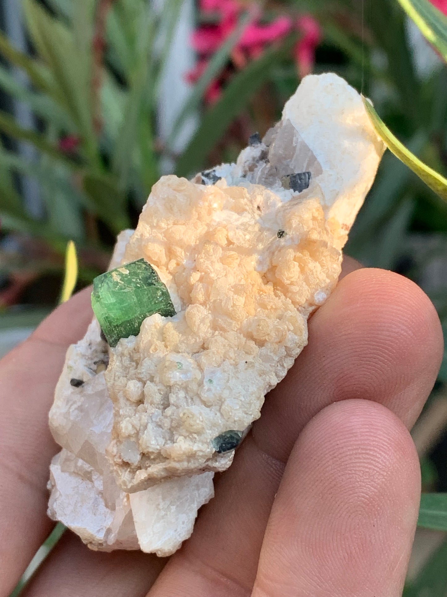 Tourmaline verte/ Verdélite, spécimen naturel de 74 x 44 x 30 mm - 84,7 grammes !