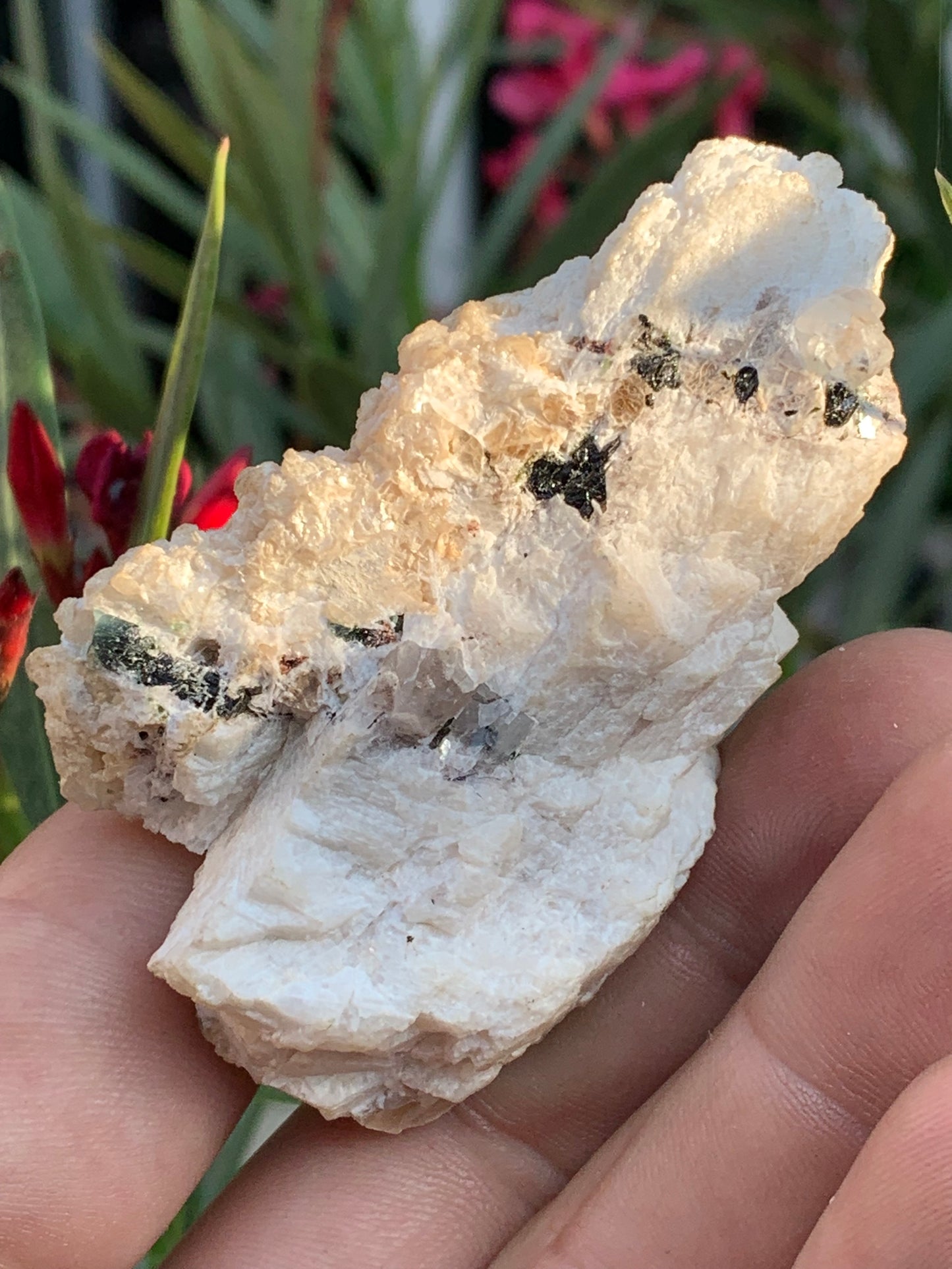 Tourmaline verte/ Verdélite, spécimen naturel de 74 x 44 x 30 mm - 84,7 grammes !