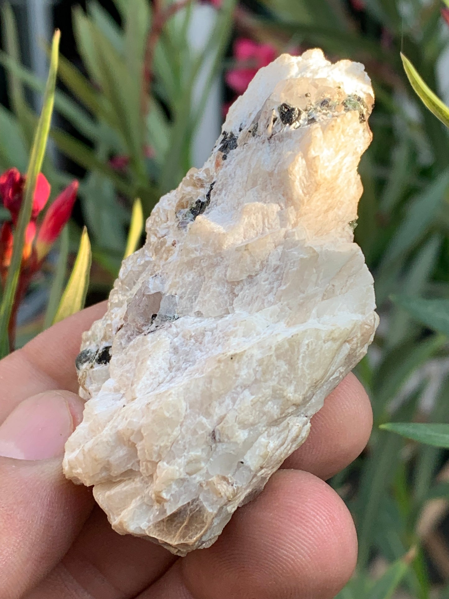 Tourmaline verte/ Verdélite, spécimen naturel de 74 x 44 x 30 mm - 84,7 grammes !