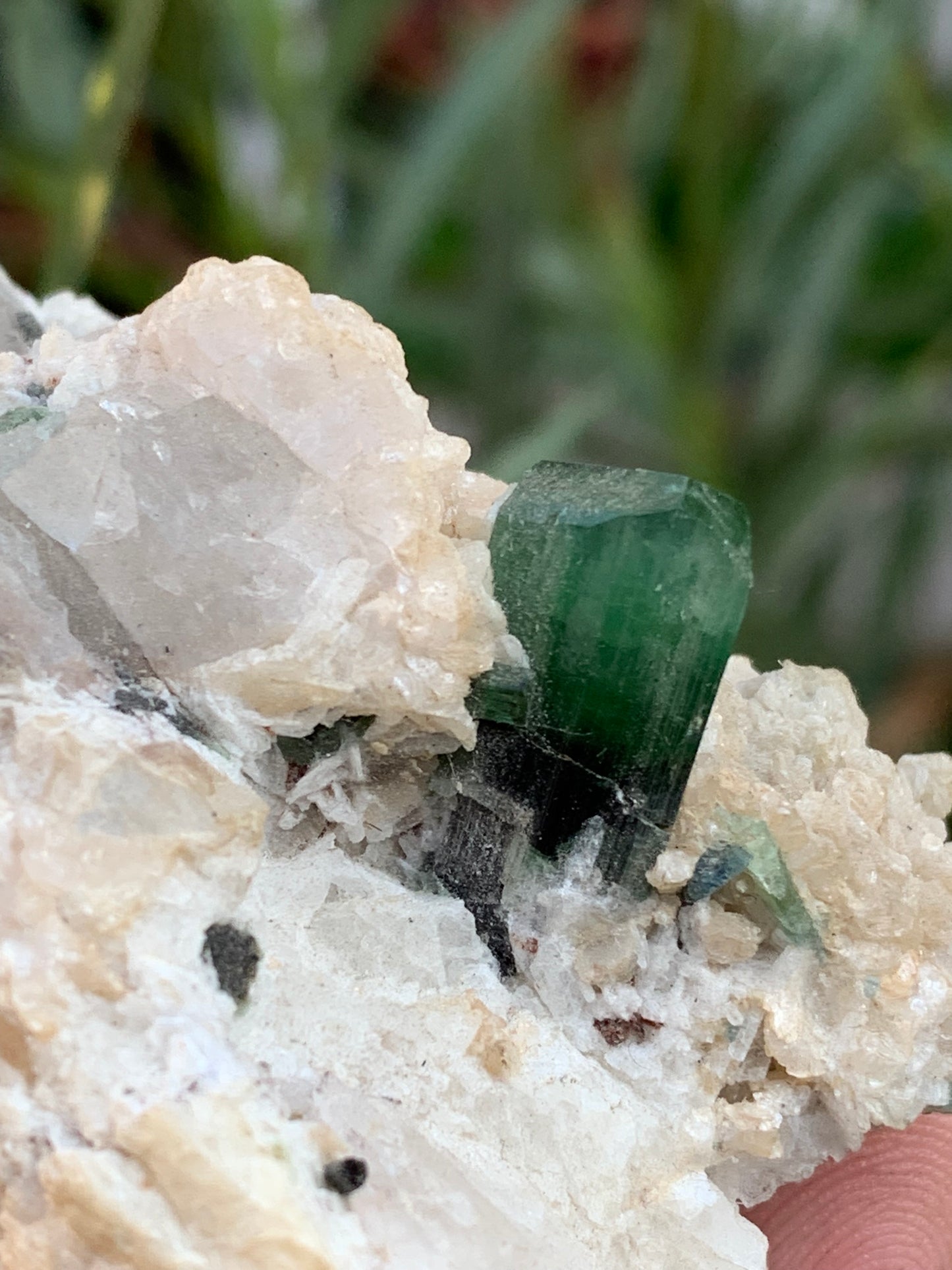 Tourmaline verte/ Verdélite, spécimen naturel de 74 x 44 x 30 mm - 84,7 grammes !