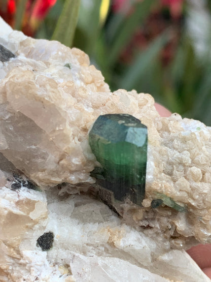 Tourmaline verte/ Verdélite, spécimen naturel de 74 x 44 x 30 mm - 84,7 grammes !