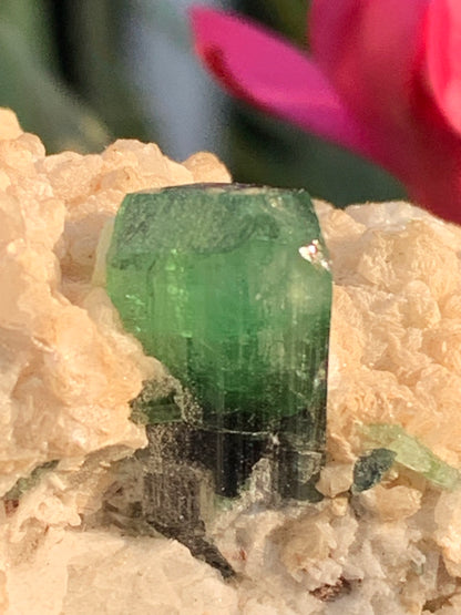 Tourmaline verte/ Verdélite, spécimen naturel de 74 x 44 x 30 mm - 84,7 grammes !