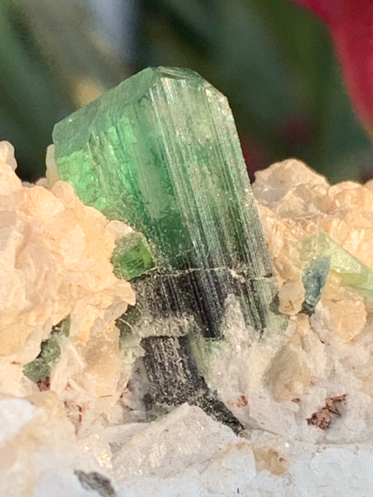 Tourmaline verte/ Verdélite, spécimen naturel de 74 x 44 x 30 mm - 84,7 grammes !