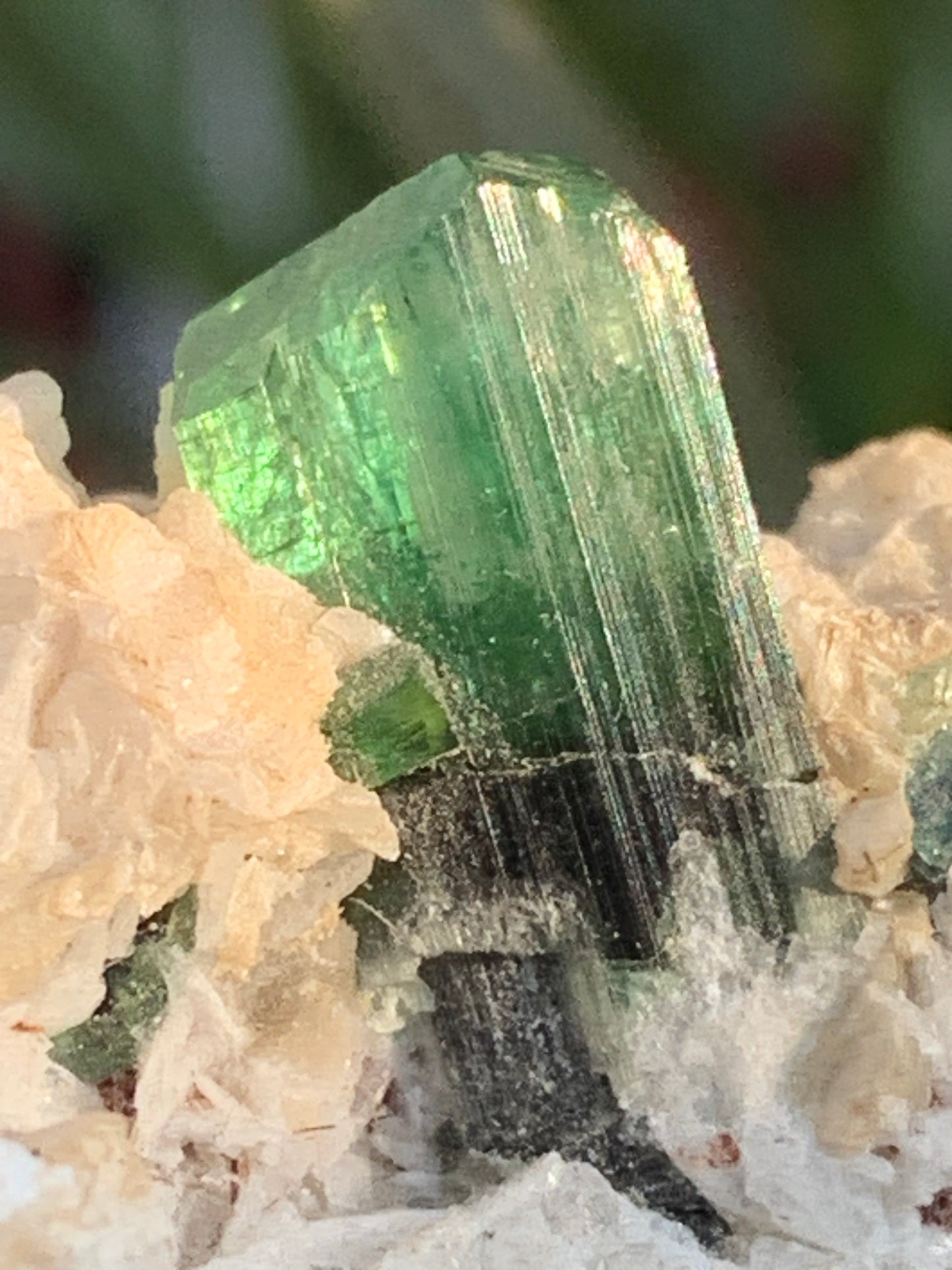 Tourmaline verte/ Verdélite, spécimen naturel de 74 x 44 x 30 mm - 84,7 grammes !