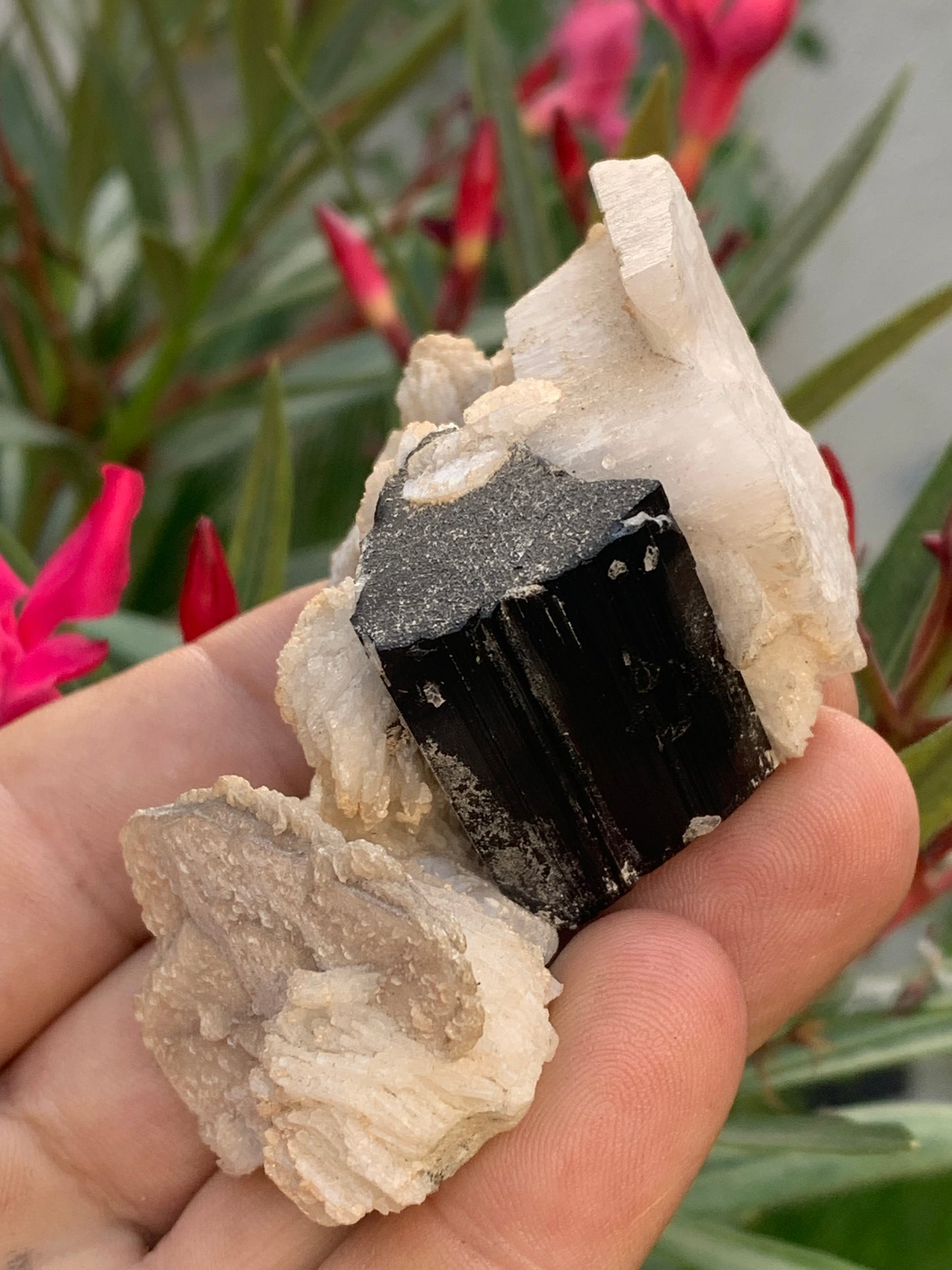 Black Tourmaline, natural specimen of 80 x 50 x 36 mm - 117 grams. A very beautiful tourmaline on Quartz and Muscovite! 