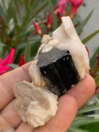 Black Tourmaline, natural specimen of 80 x 50 x 36 mm - 117 grams. A very beautiful tourmaline on Quartz and Muscovite! 