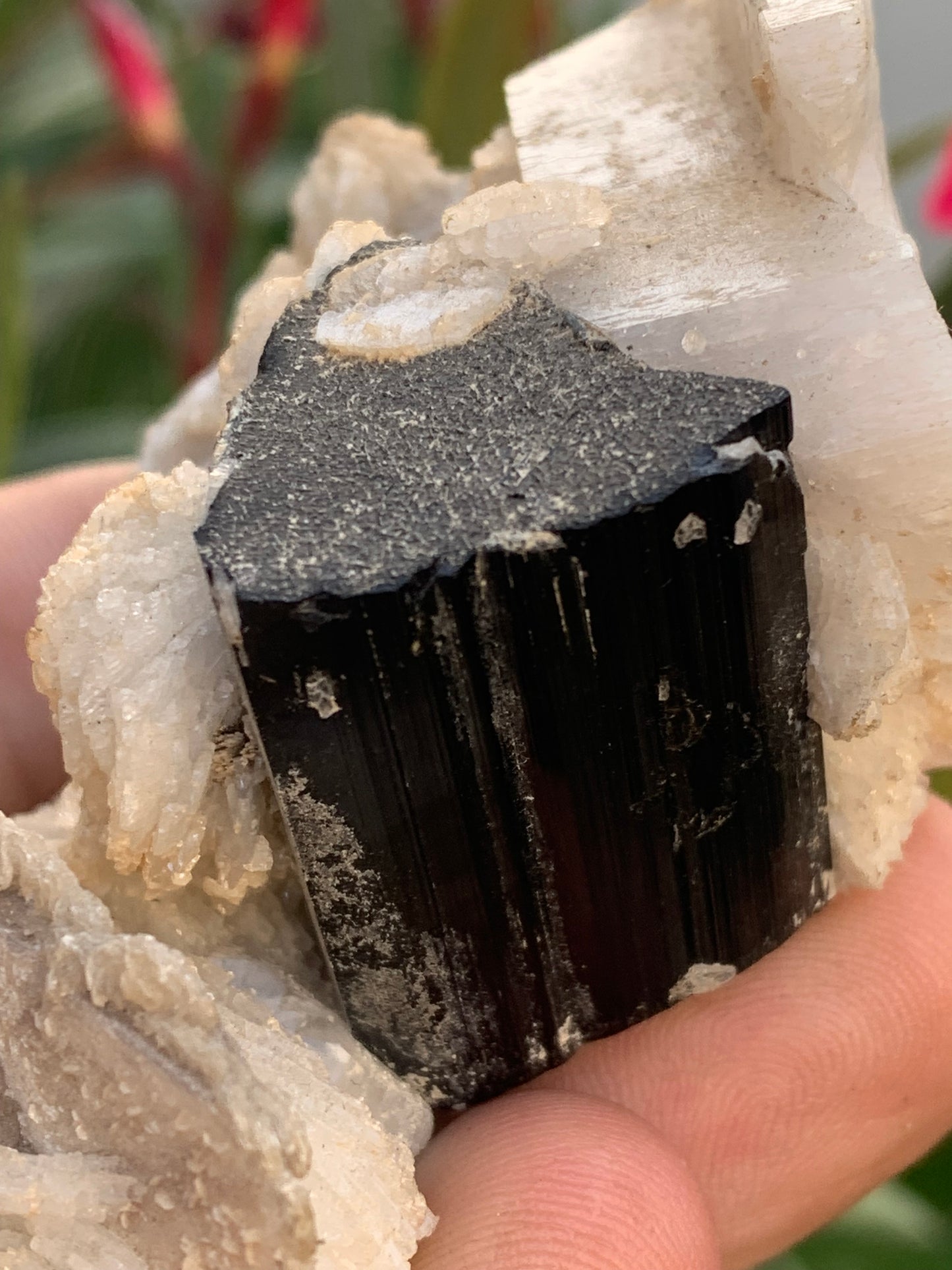 Black Tourmaline, natural specimen of 80 x 50 x 36 mm - 117 grams. A very beautiful tourmaline on Quartz and Muscovite! 