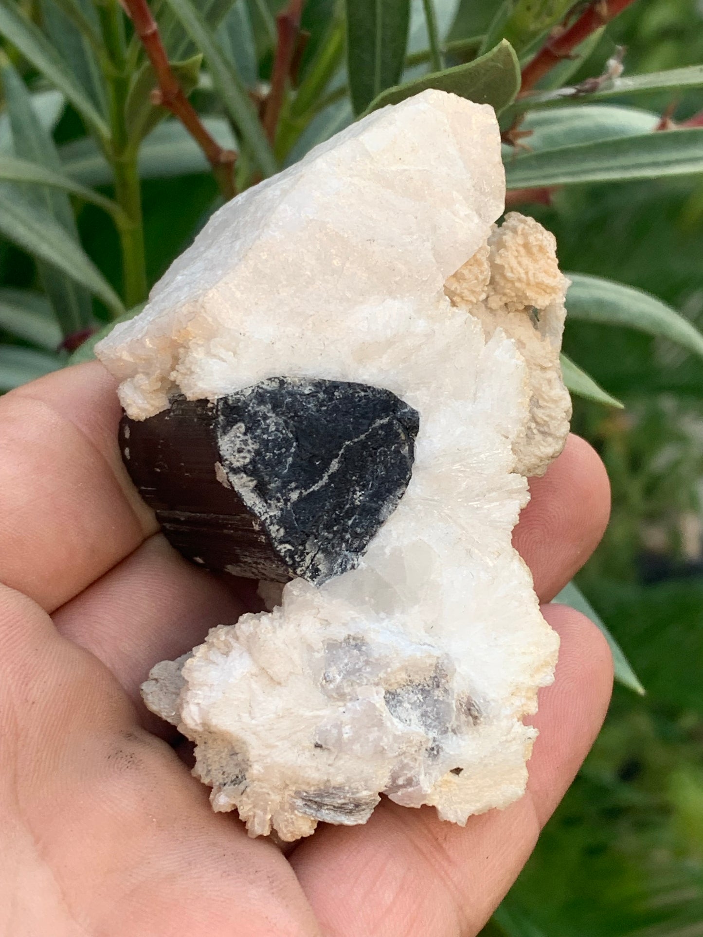 Black Tourmaline, natural specimen of 80 x 50 x 36 mm - 117 grams. A very beautiful tourmaline on Quartz and Muscovite! 