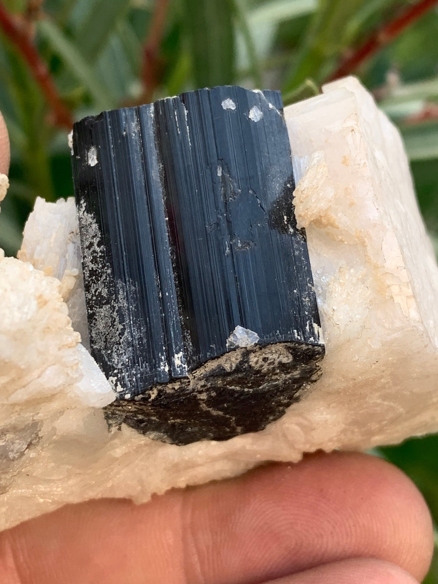 Black Tourmaline, natural specimen of 80 x 50 x 36 mm - 117 grams. A very beautiful tourmaline on Quartz and Muscovite! 