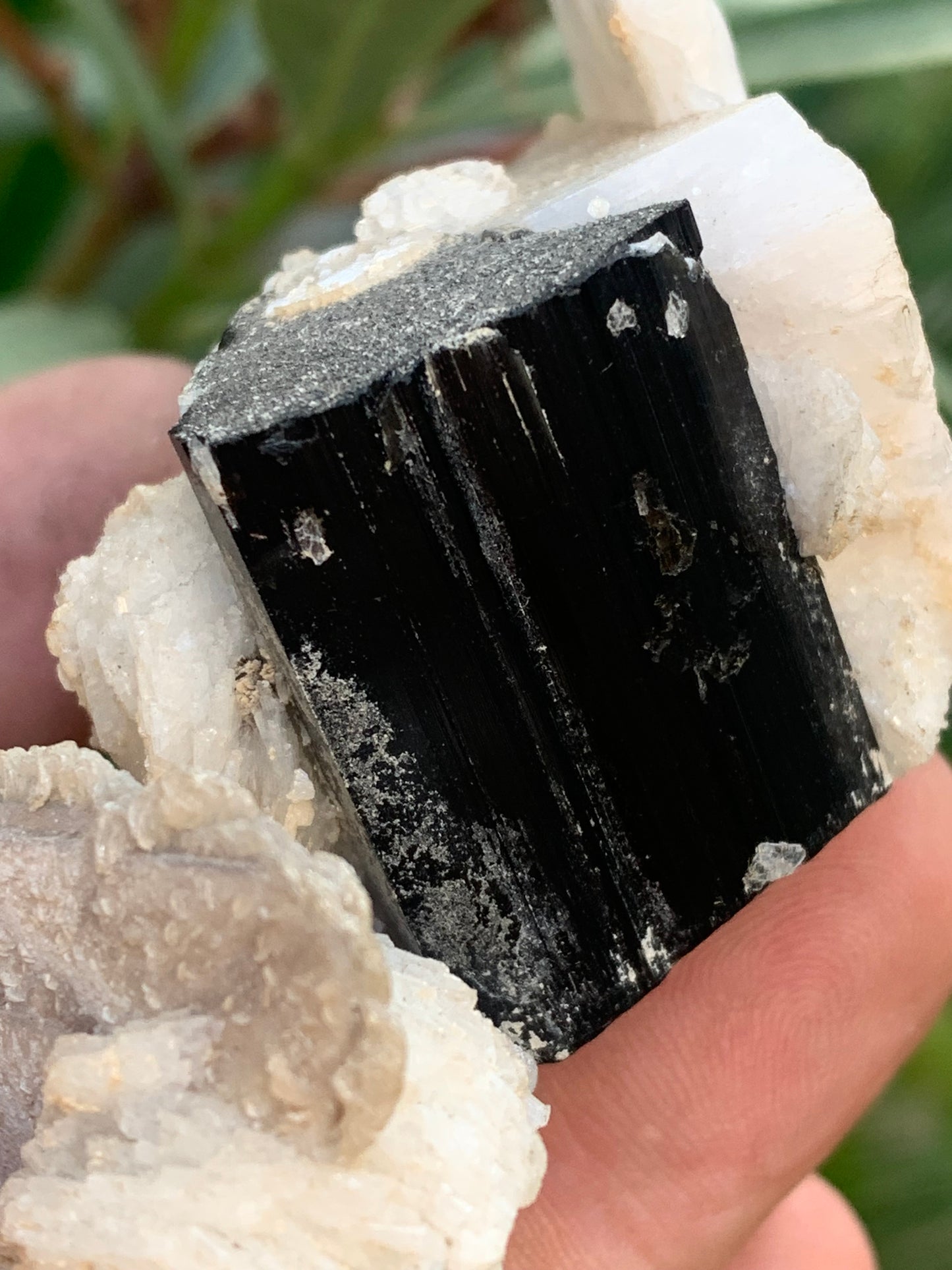 Black Tourmaline, natural specimen of 80 x 50 x 36 mm - 117 grams. A very beautiful tourmaline on Quartz and Muscovite! 