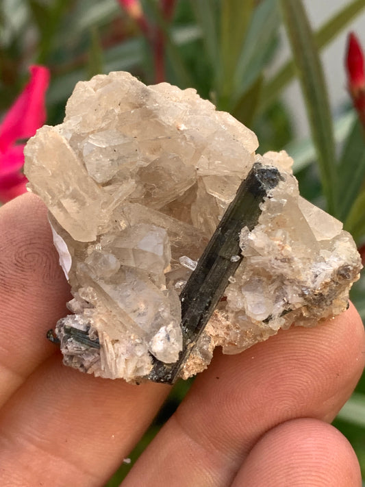 Green Tourmaline/Verdelite on Quartz Crystal, Natural Specimen 47 x 40 x 36 mm - Approximately 38.7 grams. Beautiful piece of verdelite surrounded by faceted quartz crystals! 