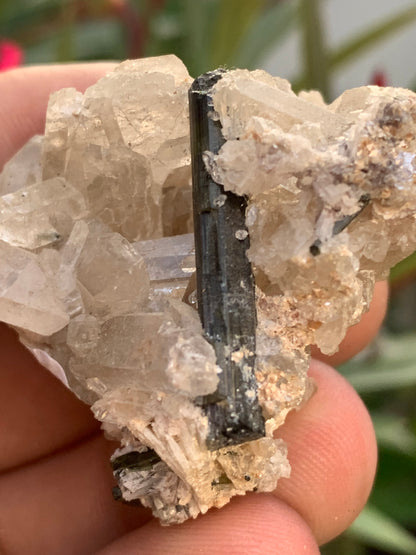 Tourmaline verte/ Verdélite sur cristal de quartz, spécimen naturel de 47 x 40 x 36 mm - 38,7 grammes environ. Magnifique pièce de verdélite au milieu de cristaux de quartz facettés !