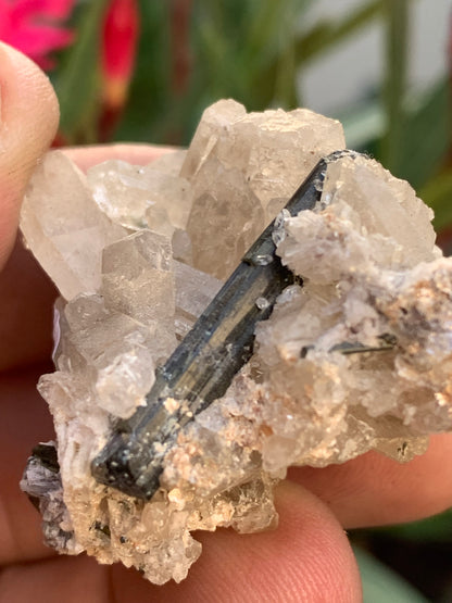 Tourmaline verte/ Verdélite sur cristal de quartz, spécimen naturel de 47 x 40 x 36 mm - 38,7 grammes environ. Magnifique pièce de verdélite au milieu de cristaux de quartz facettés !