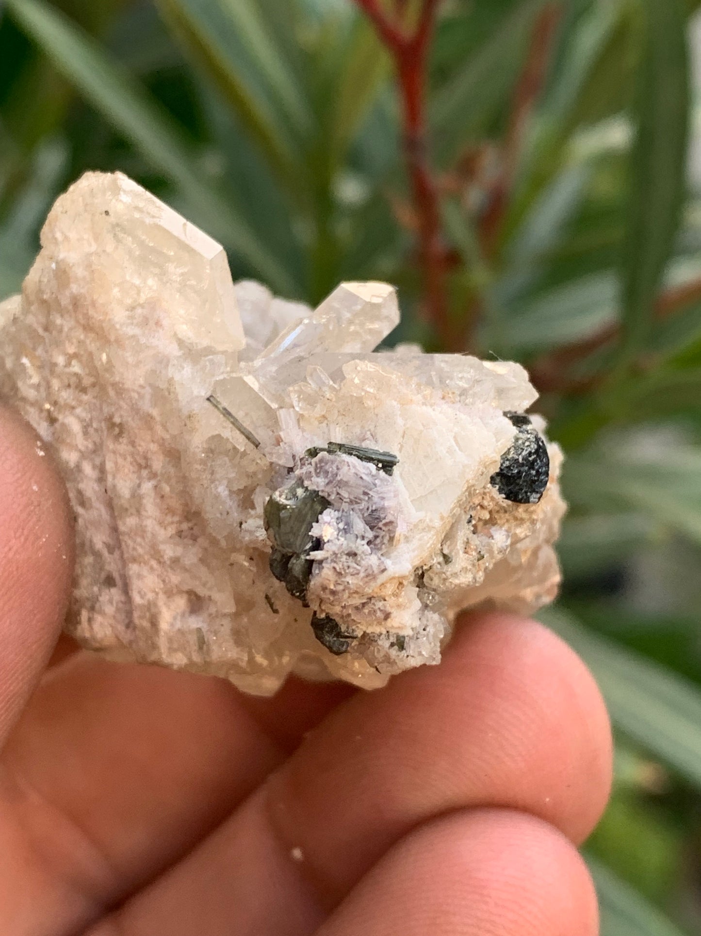 Tourmaline verte/ Verdélite sur cristal de quartz, spécimen naturel de 47 x 40 x 36 mm - 38,7 grammes environ. Magnifique pièce de verdélite au milieu de cristaux de quartz facettés !